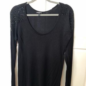 Express sparkle sweater
